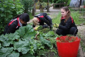 Children learning about gardening and growing vegetables at Milton Keynes Preparatory School